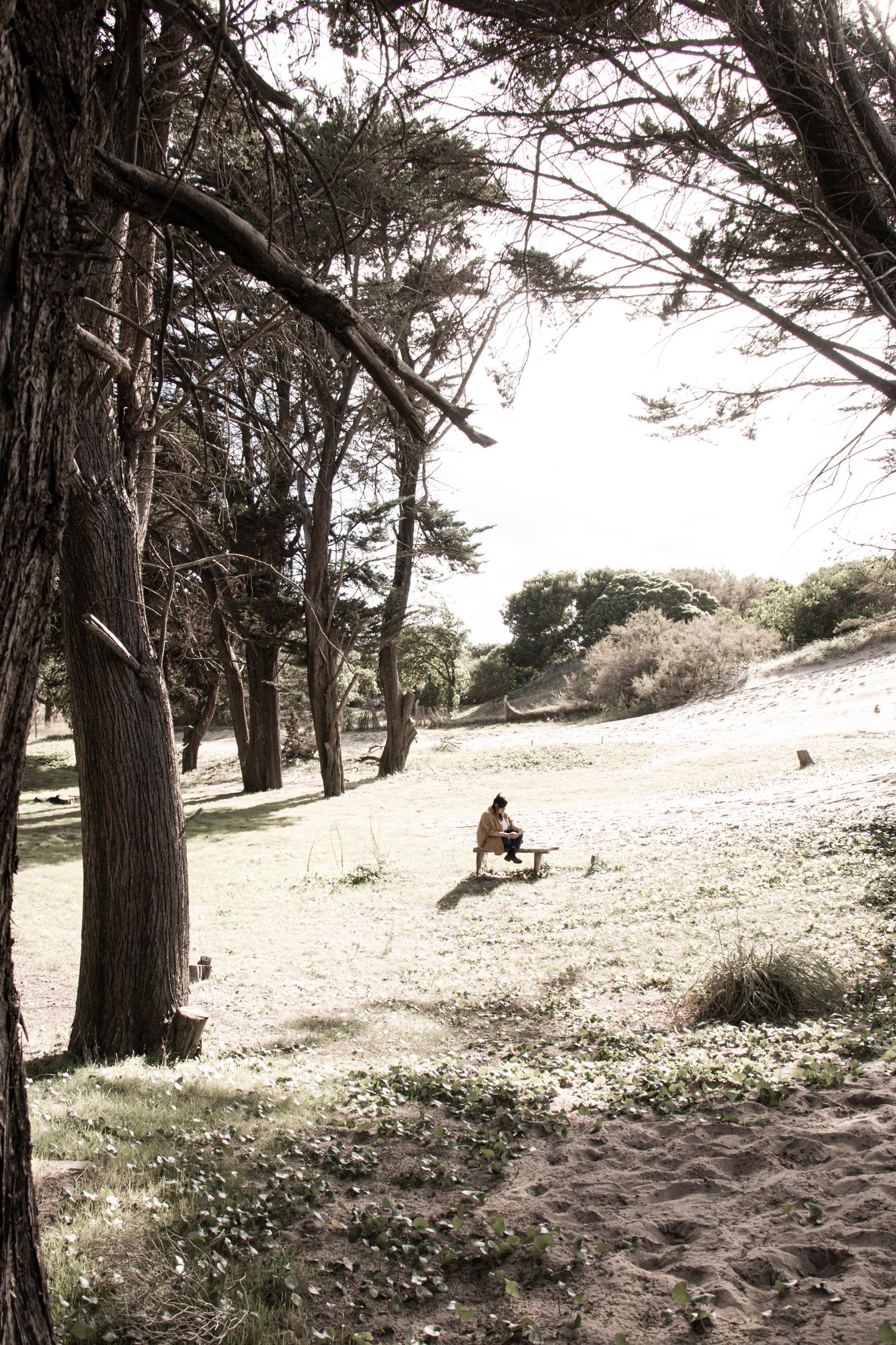 Gisela en el bosque de Mar Azul